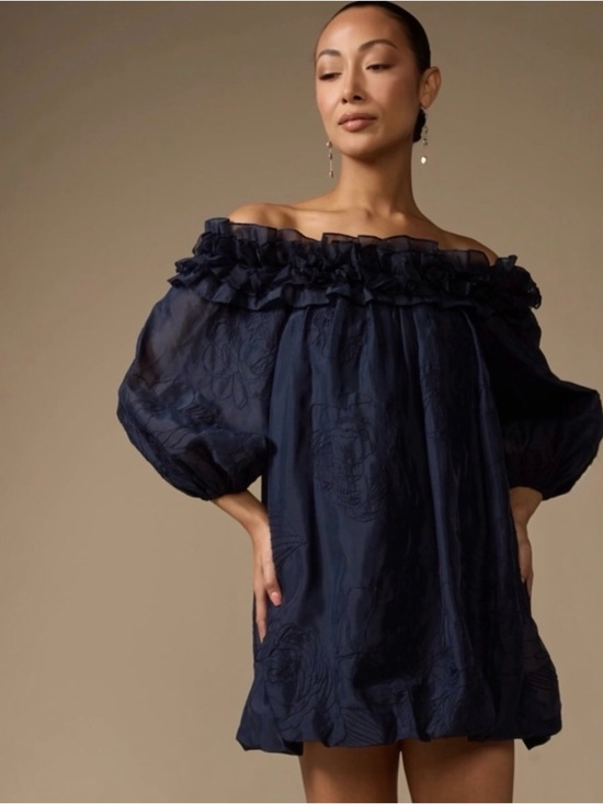 cinq a sept Dresses & Skirts - NWT Cinq A Sept Nava Organza Embroidered Mini Dress Navy Size 8